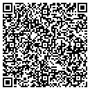 QR code with Custom Pinstriping contacts