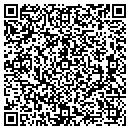 QR code with Cybernet Ventures Inc contacts