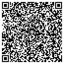 QR code with Progems USA Corp contacts