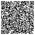 QR code with Visual Affects contacts