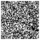 QR code with Blue Sphere Media LLC contacts