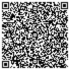 QR code with Pulse Legal Publication contacts