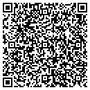 QR code with Publication Services contacts