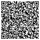 QR code with Carlson Rw Consulting contacts