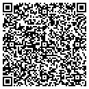 QR code with Castlewood Bulldogs contacts