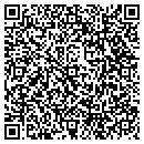 QR code with DSI Security Services contacts