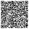 QR code with Bacio contacts
