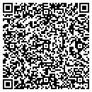 QR code with Ptl Gin Service contacts