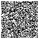 QR code with Pulice Uniform Co Inc contacts