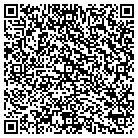 QR code with Cipher Business Solutions contacts
