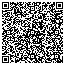 QR code with Professional Air contacts