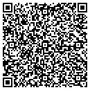 QR code with Public Library Systems contacts