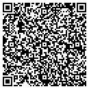 QR code with Cyberag Feed CO Inc contacts