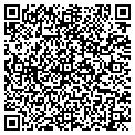 QR code with M-Snap contacts