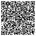 QR code with Basics contacts