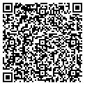 QR code with Vidal contacts