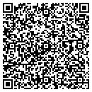 QR code with Pro Docs Inc contacts