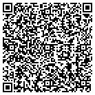QR code with Badger Properties LLC contacts