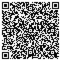 QR code with Dywane contacts