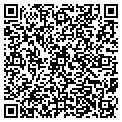 QR code with Javier contacts