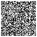 QR code with Premium Painting Plus contacts