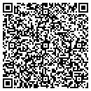 QR code with Brian's Tree Service contacts