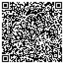 QR code with Probedomain contacts