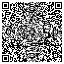 QR code with Bluebird Farm contacts