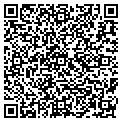QR code with Poleci contacts