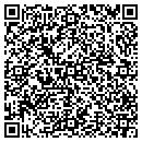 QR code with Pretty In Bling LLC contacts