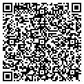 QR code with Modis contacts