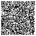 QR code with V-Sails contacts