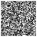 QR code with Practical Solar contacts