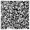 QR code with Pulse Creations Inc contacts