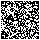 QR code with Premier Fabrics Inc contacts