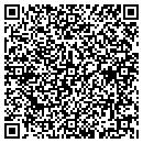 QR code with Blue Button Analyzer contacts