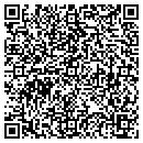 QR code with Premier Values LLC contacts