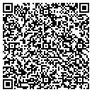 QR code with Premier Fabrics Inc contacts