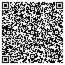 QR code with Premier-Tex Inc contacts
