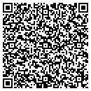 QR code with Purses Unlimited contacts
