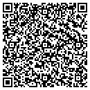QR code with Prettiful Purses contacts