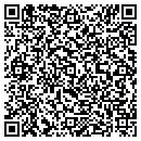 QR code with Purse Jewelry contacts