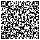 QR code with Purse Ladies contacts
