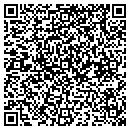 QR code with Pursenality contacts