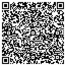 QR code with Purse-N-All Flair contacts