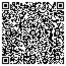 QR code with Purse Patrol contacts