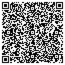 QR code with Purse Perfector contacts