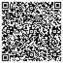 QR code with Purses By Stacie LLC contacts