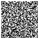 QR code with Purses Galore contacts