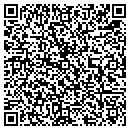 QR code with Purses Galore contacts